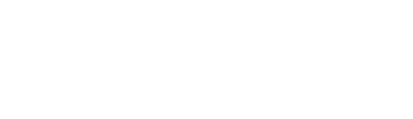 white logo access accounting 08